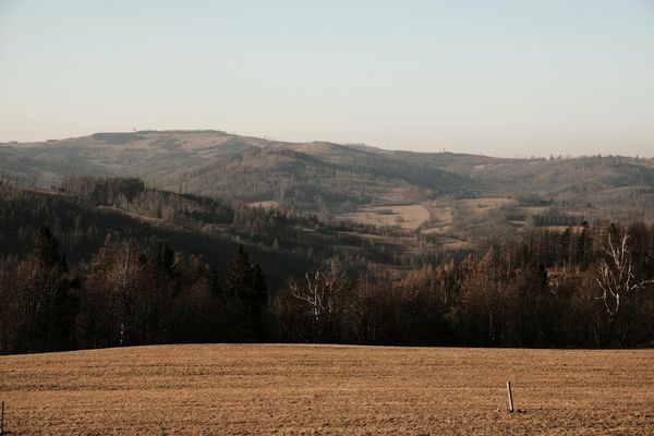 Scenic view of nature representing visual peace and tranquility